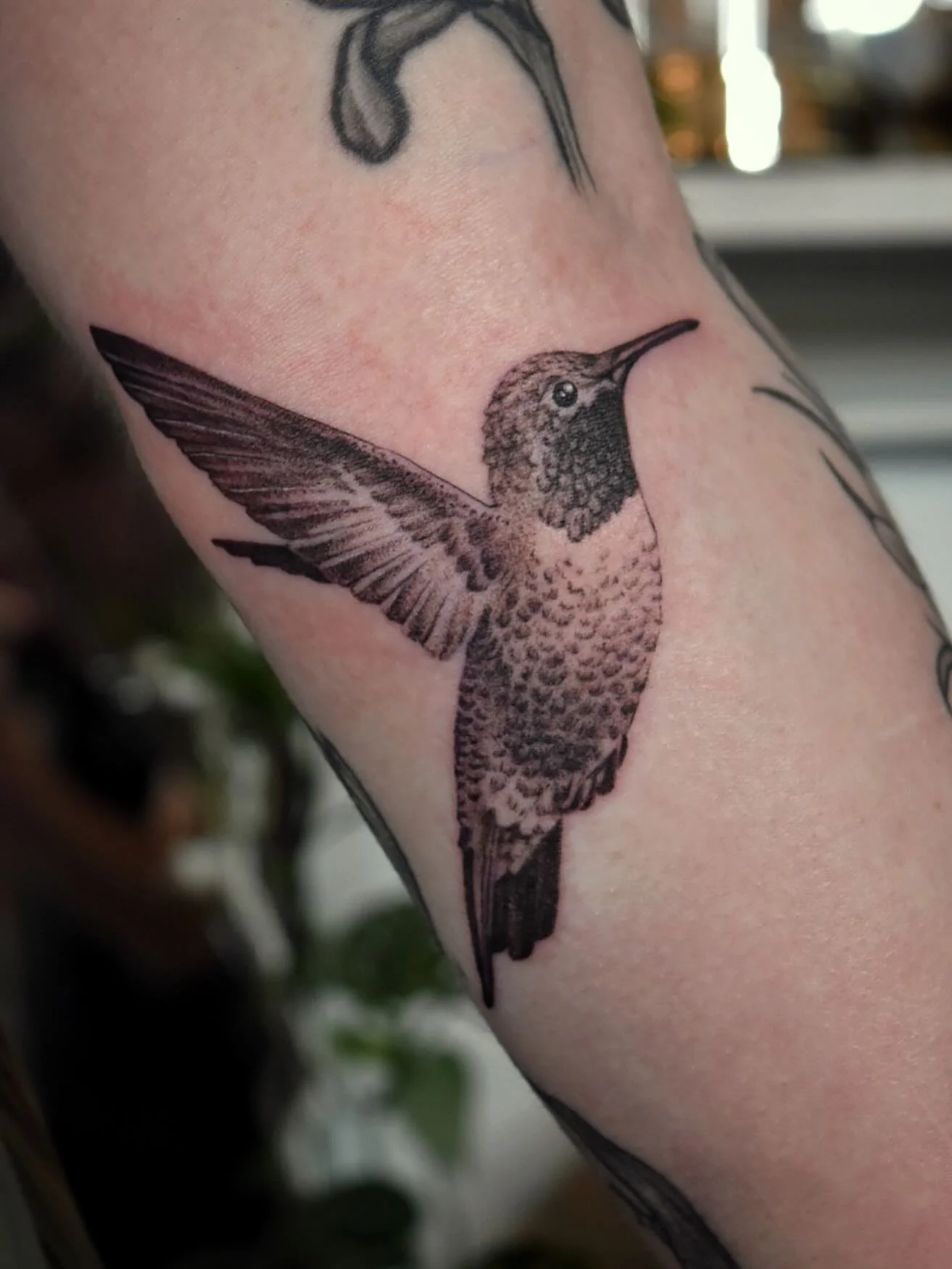 Sweet little hummingbird from my flash for Megan 💕

#hummingbird #hummingbirdtattoo #birdtattoo #feathertattoo #blackandgreytattoo #stippleshading #oregontattoo
