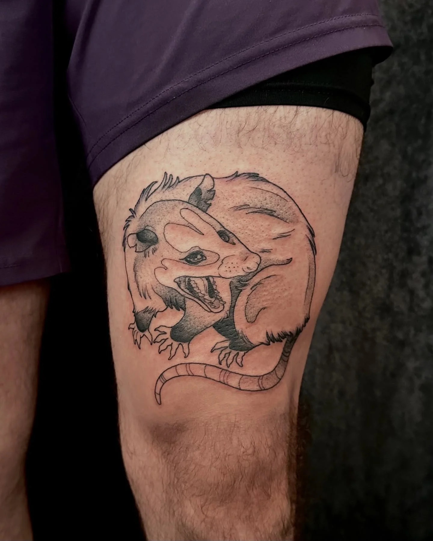 Opossum for Tanner. Thank for letting me do your first tattoo!

#oregontattoo #eugenetattoo