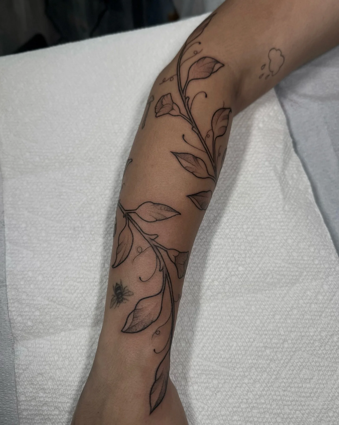 The start of a pretty vine wrap I&rsquo;m working on❤️

#tattoo #eugenetattoo #oregontattoo