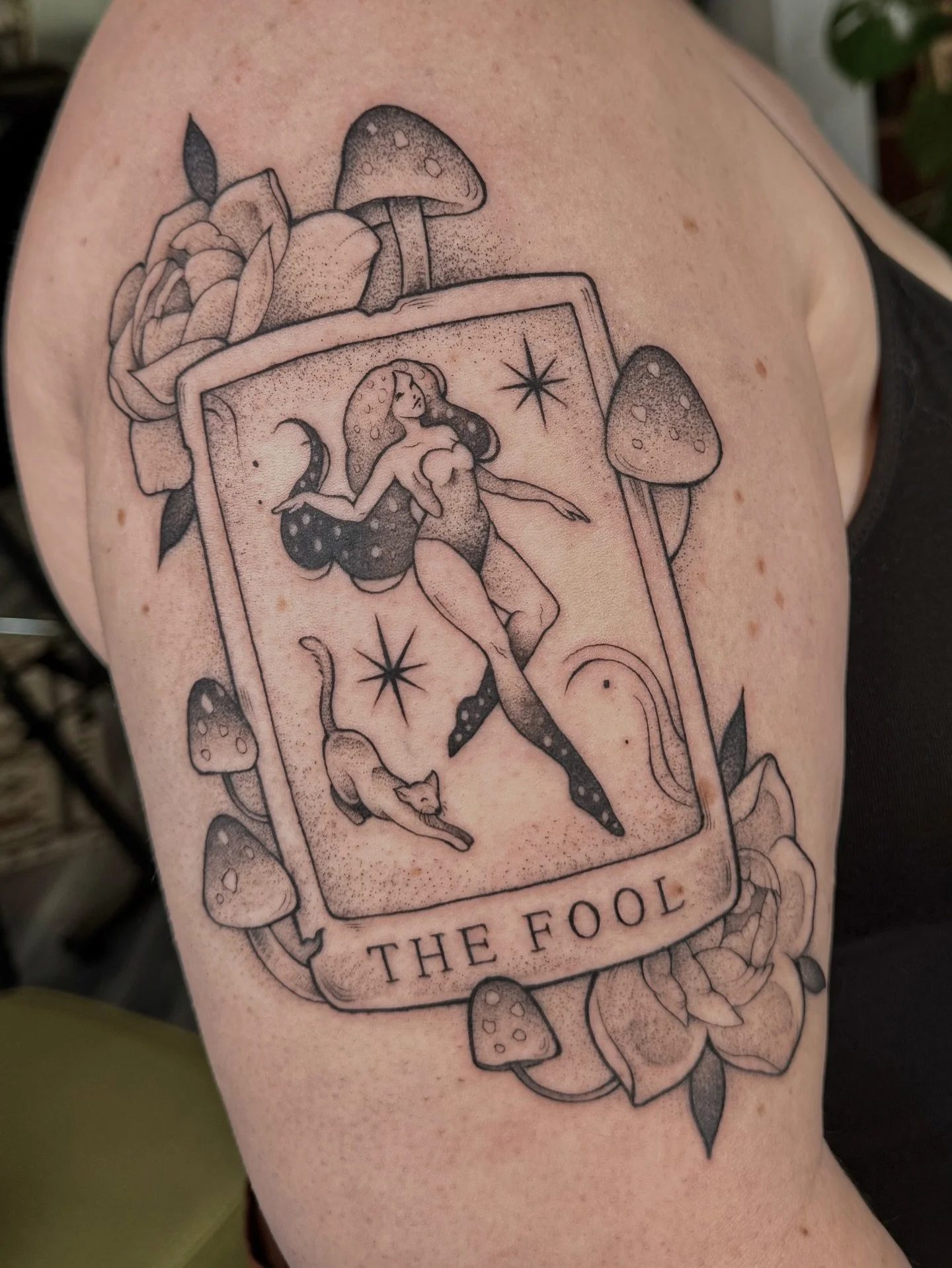 The Fool✨⭐️💫