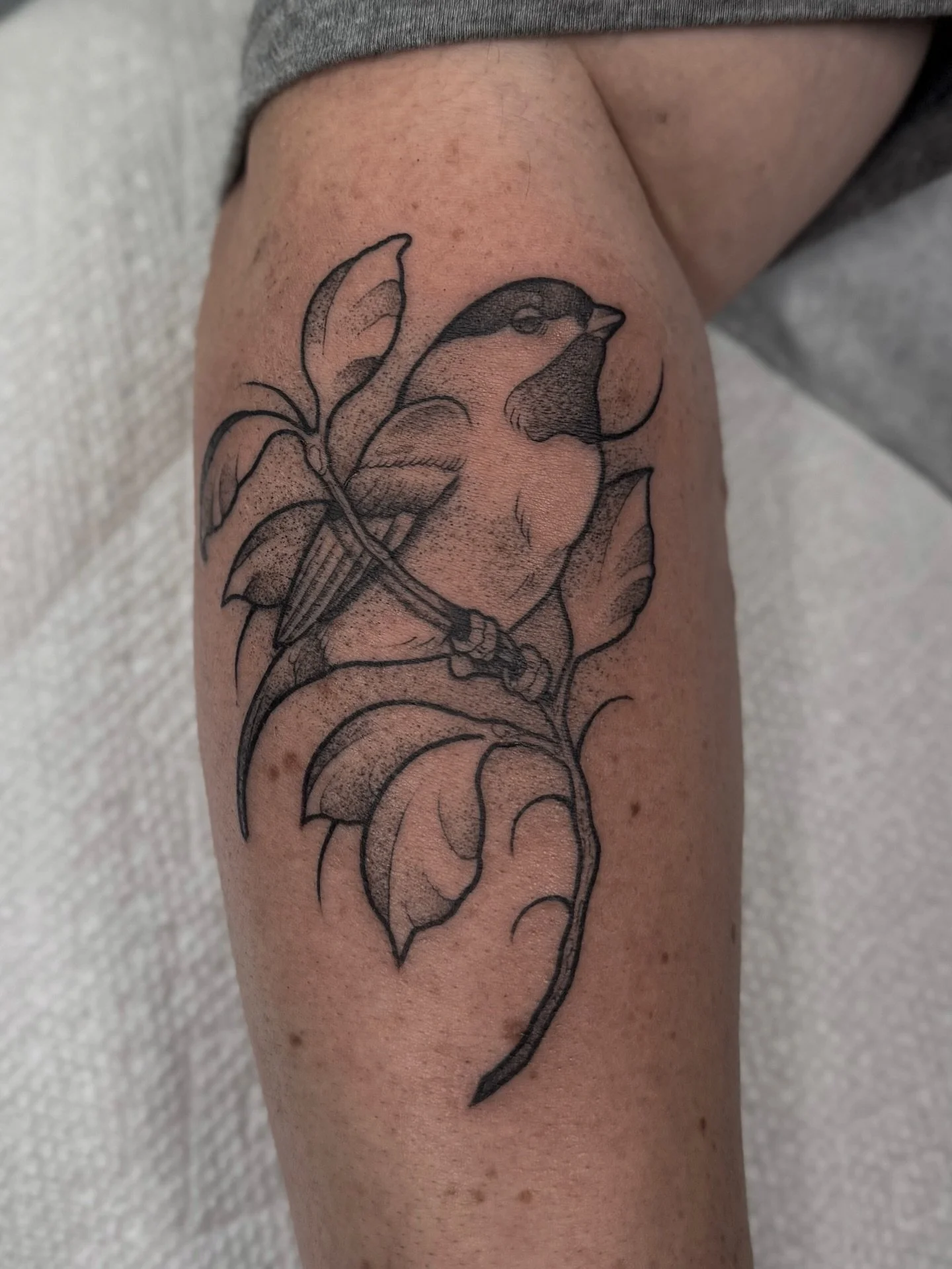 I just wanna tattoo birds all day every day