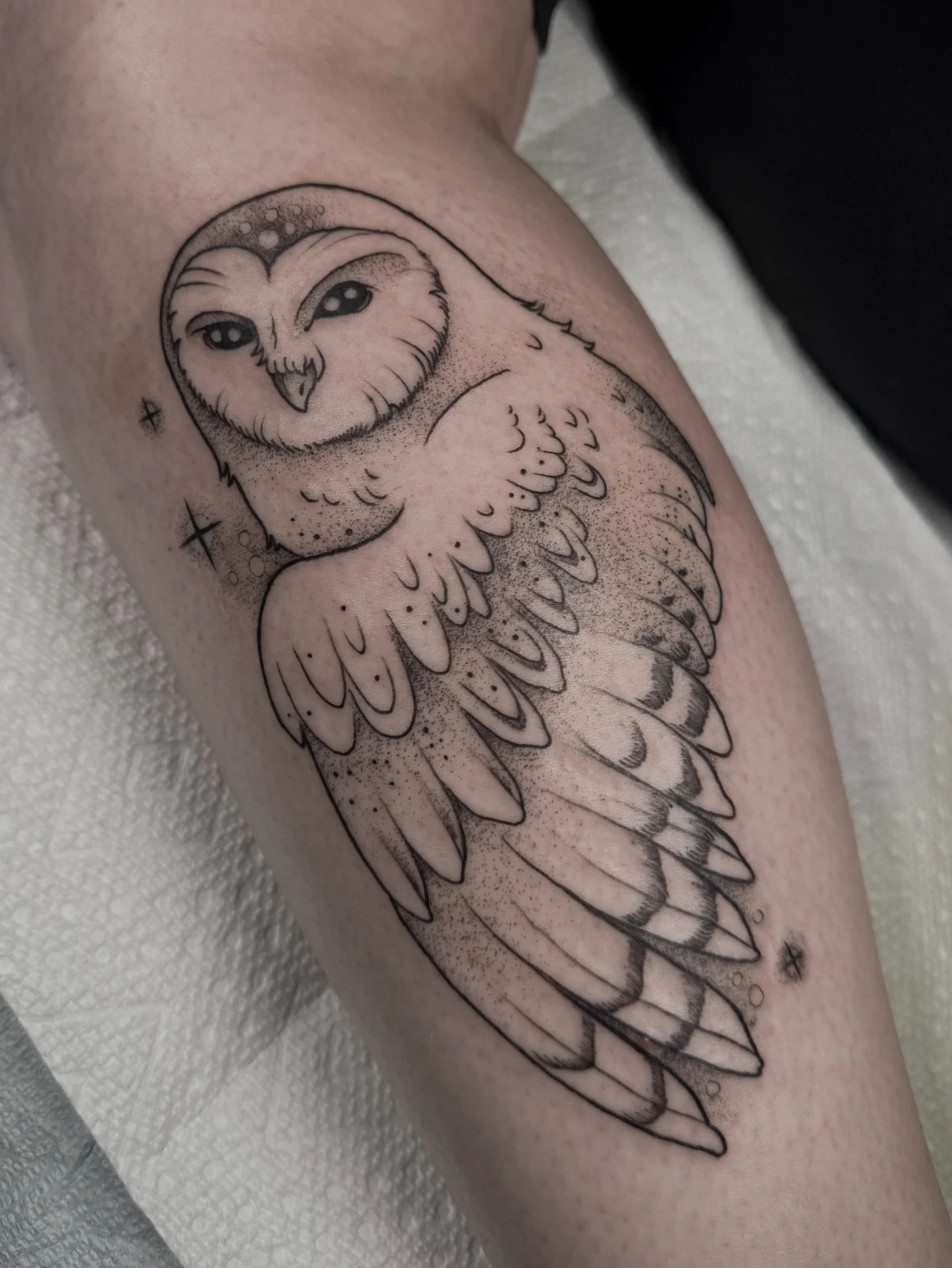 Sweet owl tattoo for a sweet client