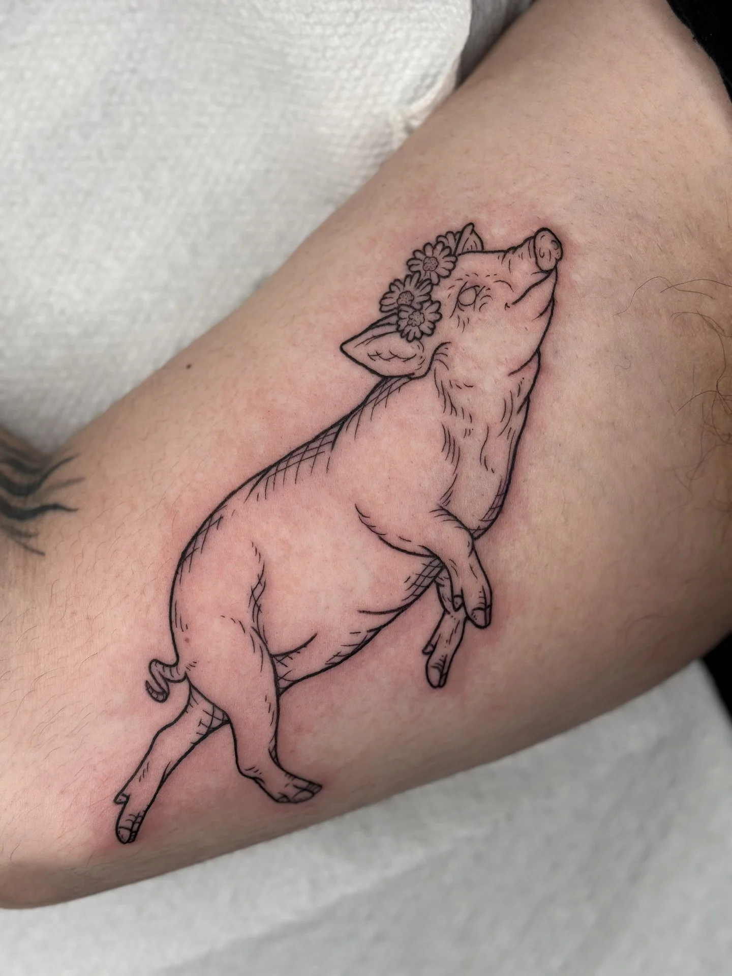 Kissin&rsquo; Pig as my half of a tattoo trade with the talented @vincent_espinoza_tattoo 

#etchingtattoo #engravingtattoo #woodcuttattoo #oregontattooartist #kisskiss