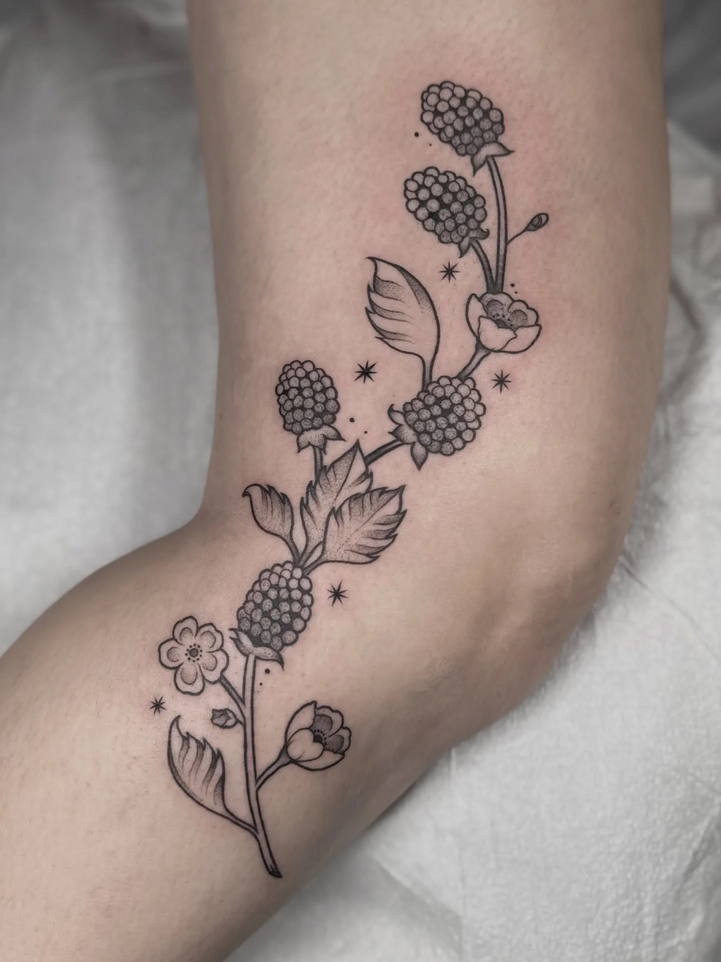 Served up a little blackberry outer knee moment for a lovely client.
Currently booking late March and April @wildroseeugene 
◽️ click the link in my bio to book ◽️