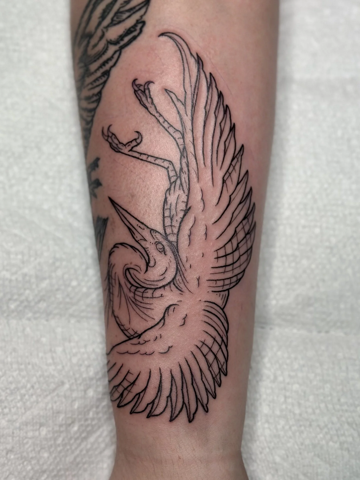 Great Blue Heron for Emilie 🕊️

#etchingtattoo #herontattoo #birdtattoos #engravingtattoo #oregontattooartist