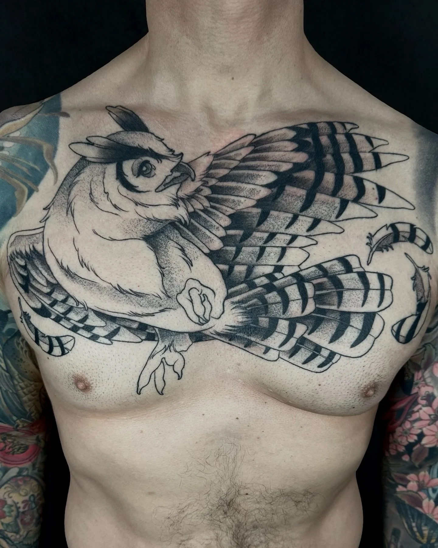 Mostly healed great horned owl for John =^&bull;.&bull;^=

#eugenetattoo #oregontattoo