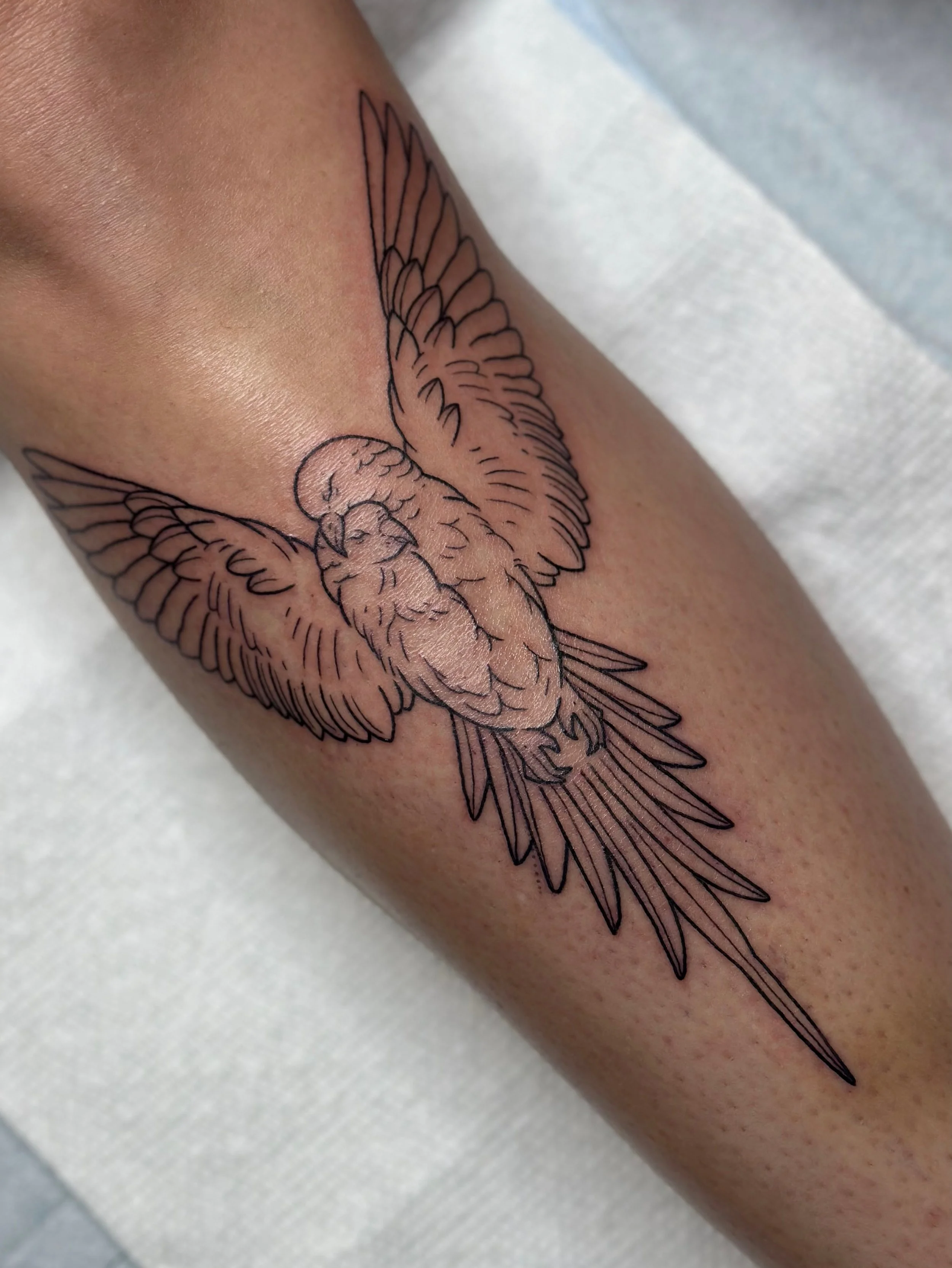 Sweet Little LoveBirds 🕊️ thank you Sonja for loving this flash as much as I did when I made it 🩶 it&rsquo;s found the perfect home 

#birdtattoos #lineworktattoos #etchingtattoo #engravingtattoo #oregontattooartist