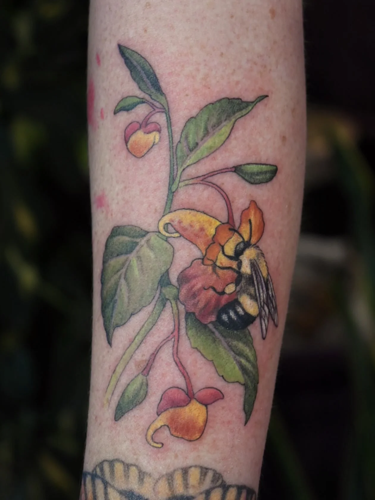 Just a cutie patootie bee on some jewelweed 💕 

Color illustrative botanicl realistic bee insect tattoo