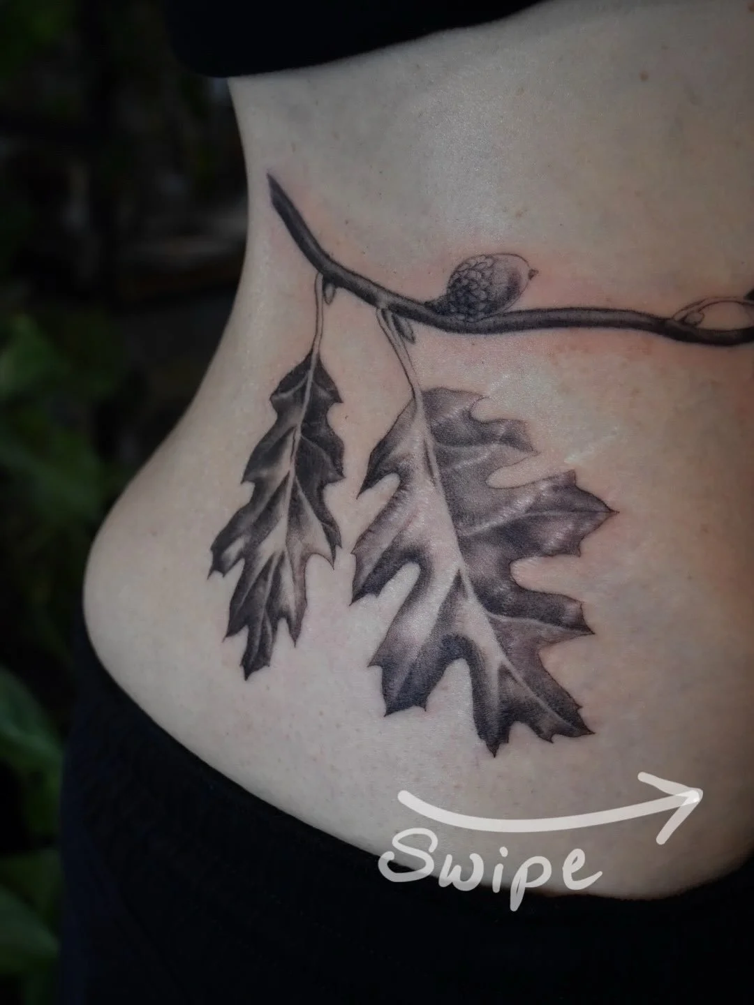 Custom wrapping California Black Oak ~ this was such an awesome first tattoo! ✨🖤

Botanical black and grey realistic tummy tattoo