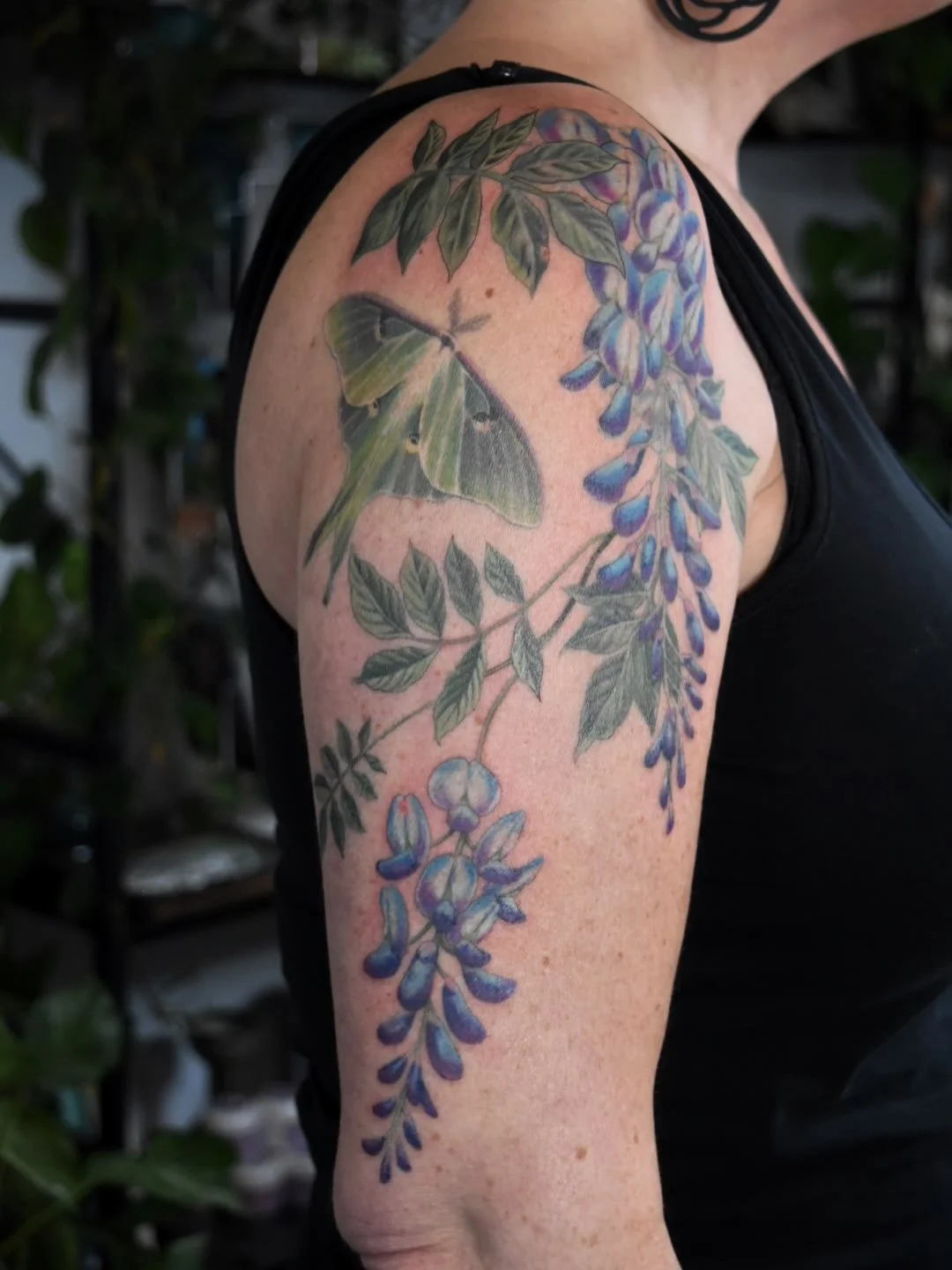 Refresh of an old tattoo, a 1yr healed luna moth, and some additions! Swipe to see the original tattoo (not done by me). 

More and more I&rsquo;m taking on rework and coverup projects - so satisfying, but also significantly more challenging to do. A
