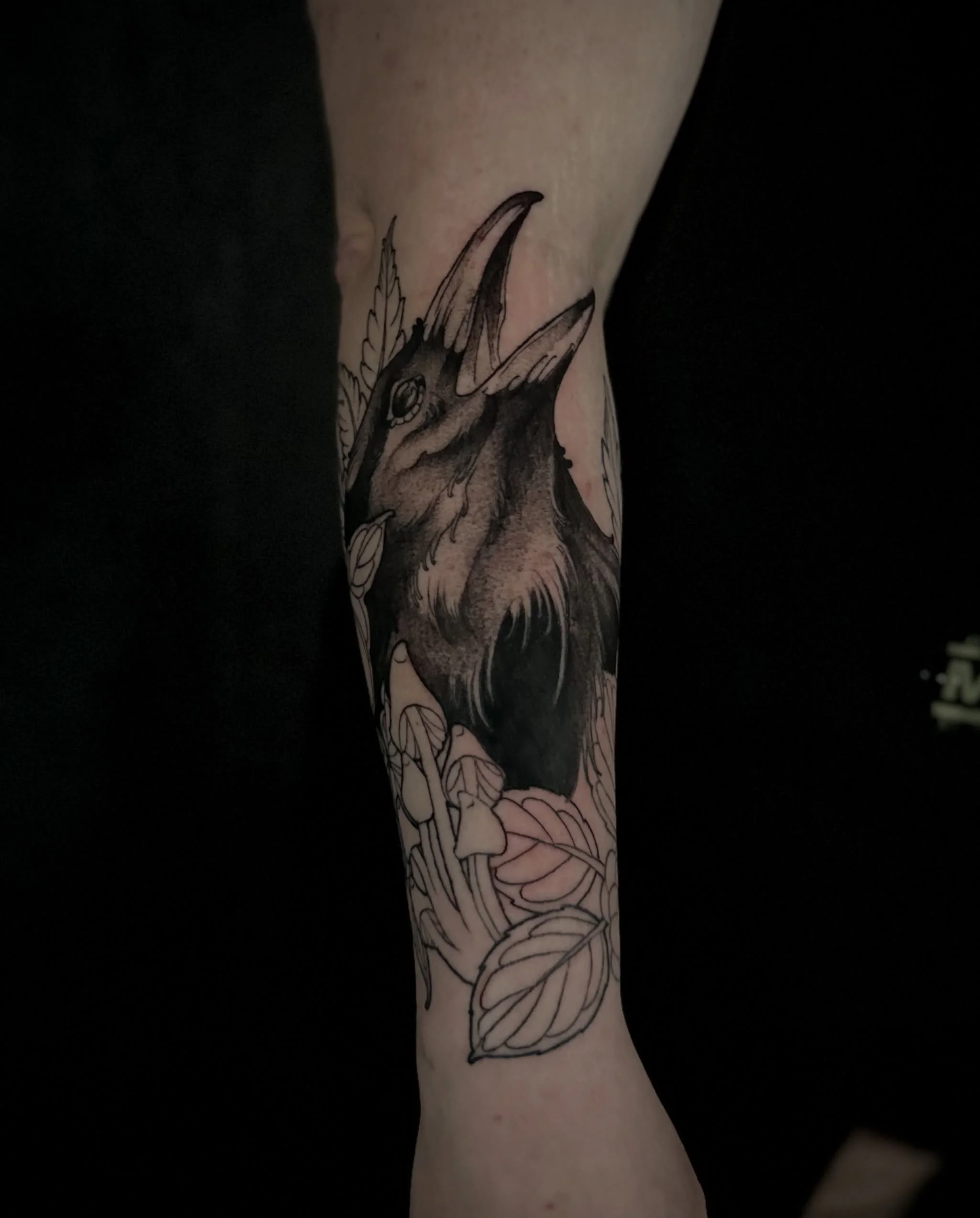 Some more work on this crow half sleeve for Cassidy

#oregontattoo #eugenetattoo #portlandtattoo