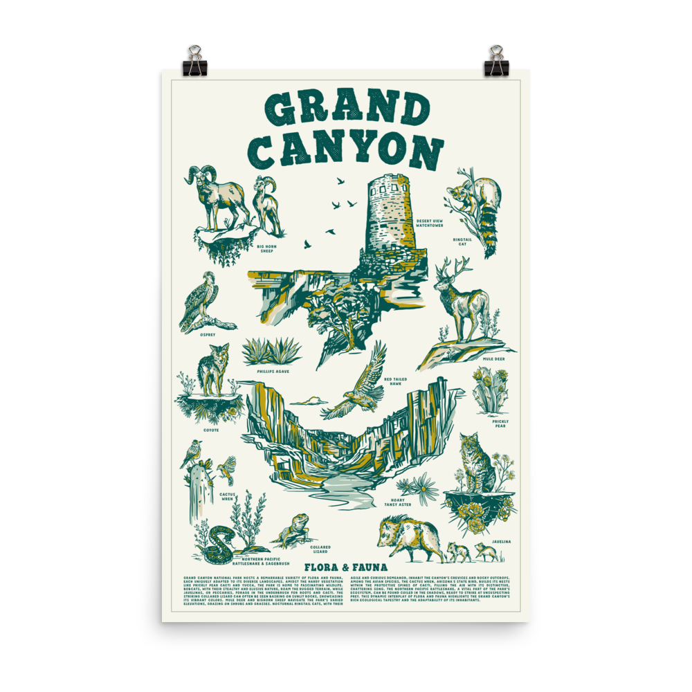 enhanced-matte-paper-poster-(in)-24x36-transparent-669efd6fa7cbf.png