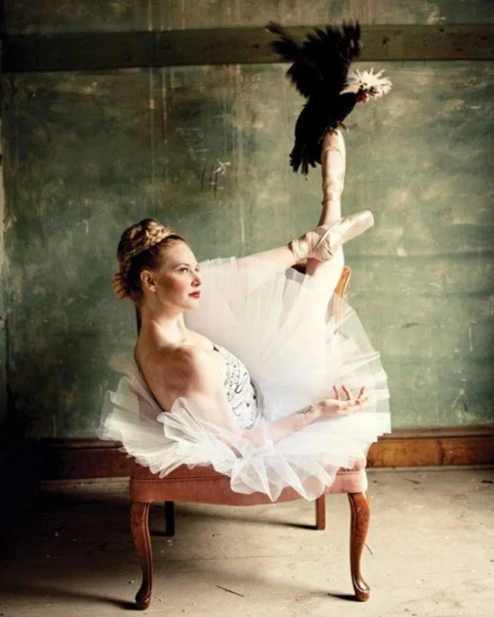 Sometimes the most unlikely pairings turn out beautifully. ❤️ 
🩰🐔