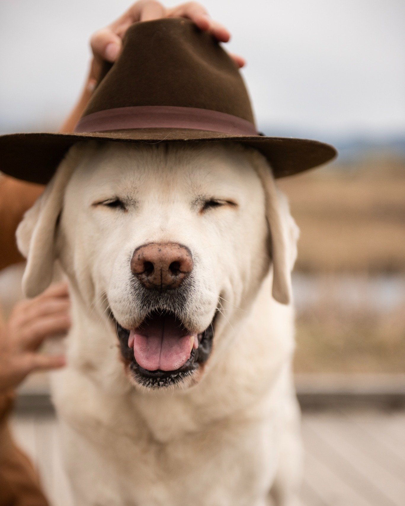 Smile! Its Friday!
Time to get your party hats on ⚡