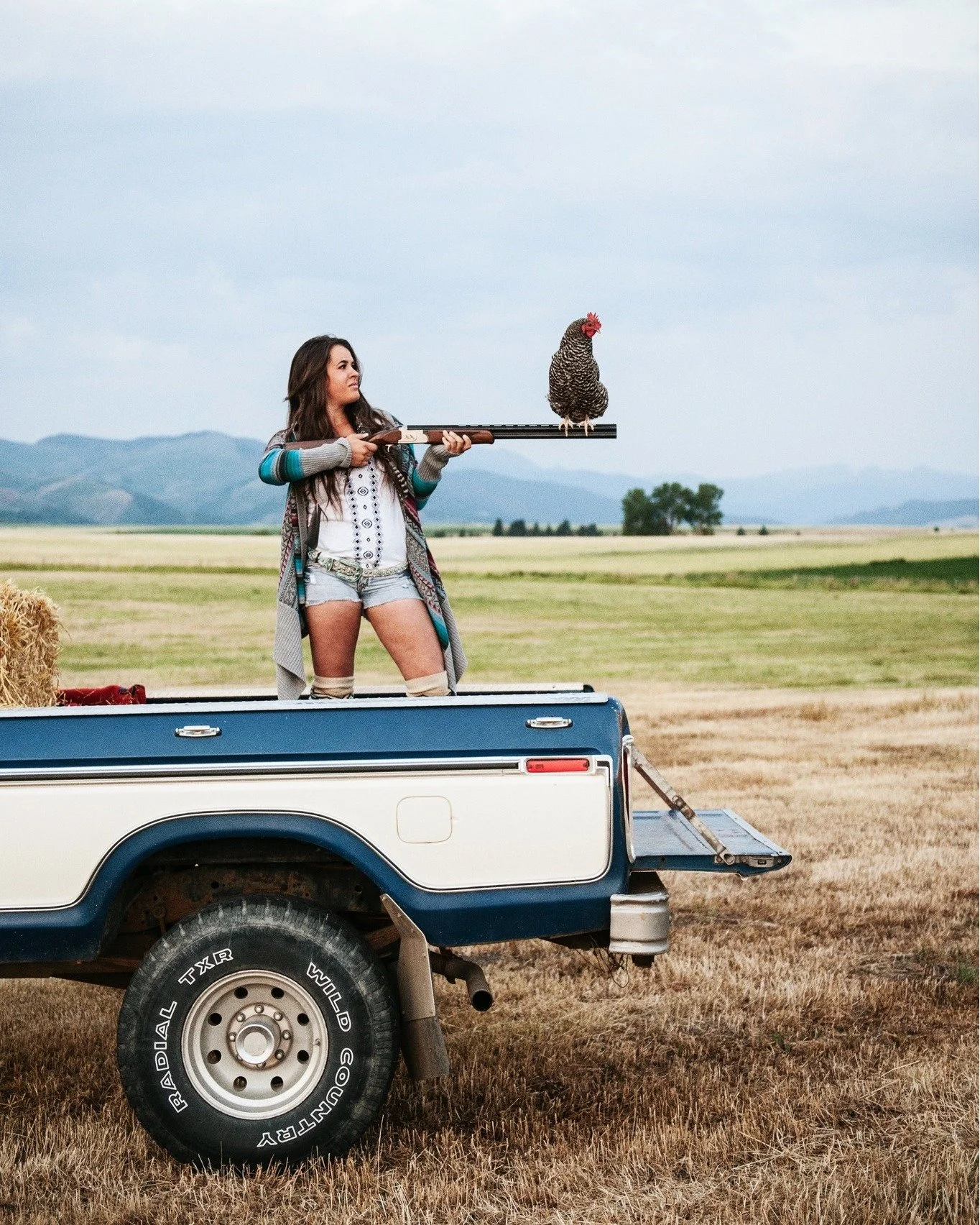 Ready....Aim.... 🐔