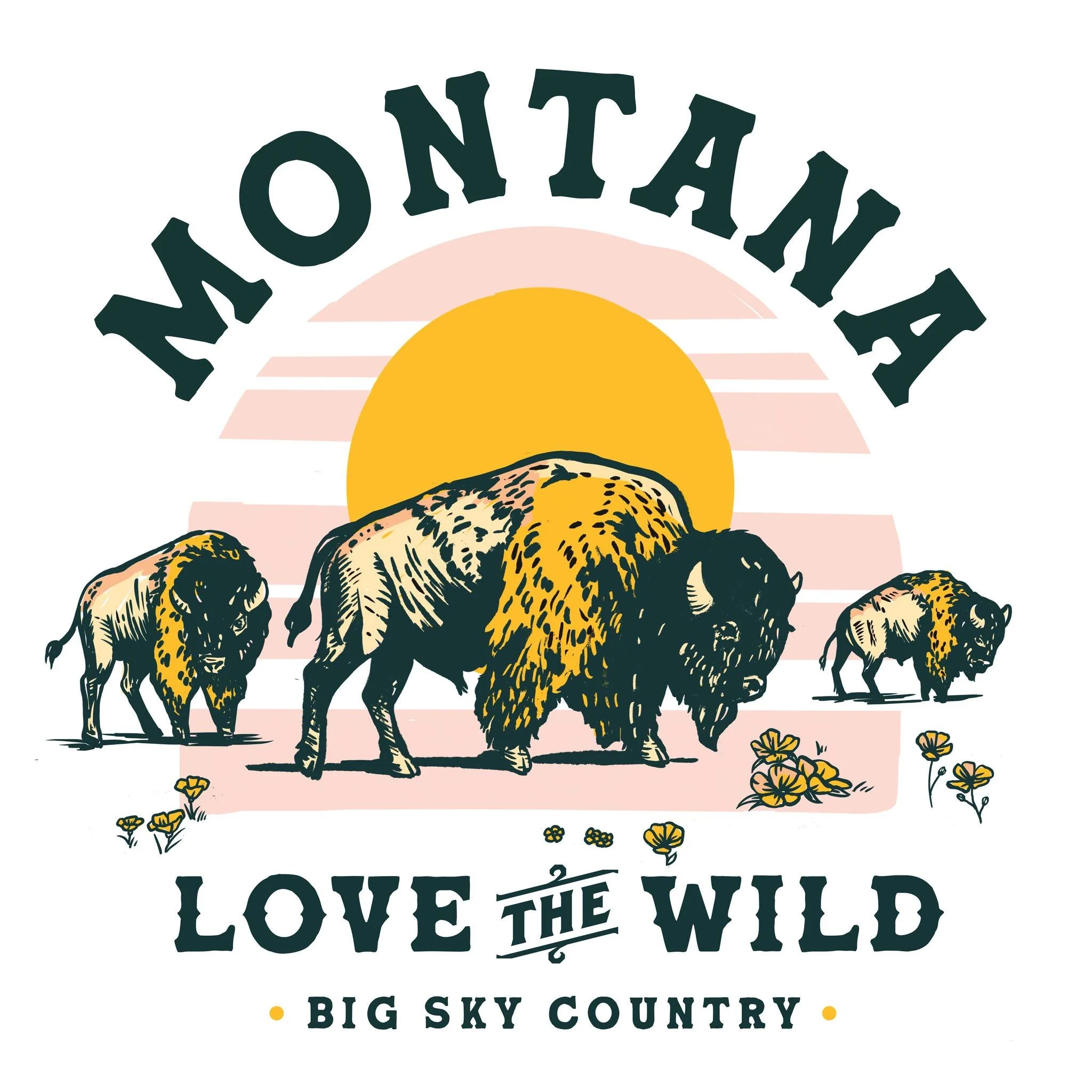 Big Sky Country &hearts;🌞