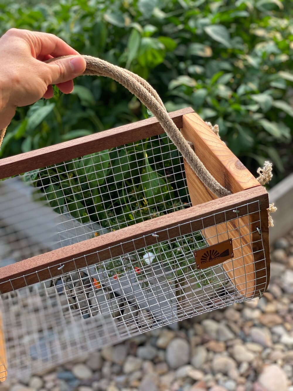 Wooden Garden Trug - Small Gathering Basket