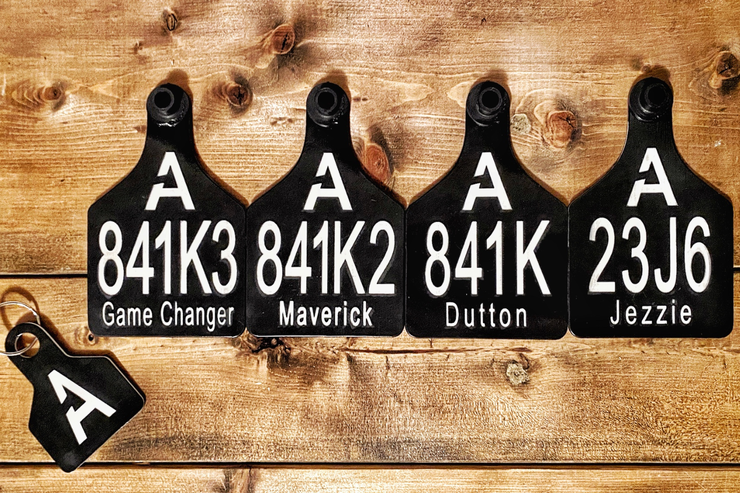 Home-Page-Banner.png