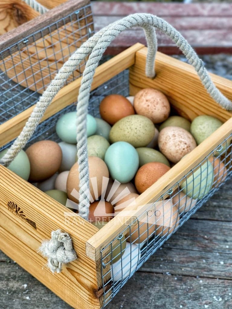 https://i.etsystatic.com/10470329/r/il/4a25de/3655370158/il_fullxfull.3655370158_pyn6.jpg