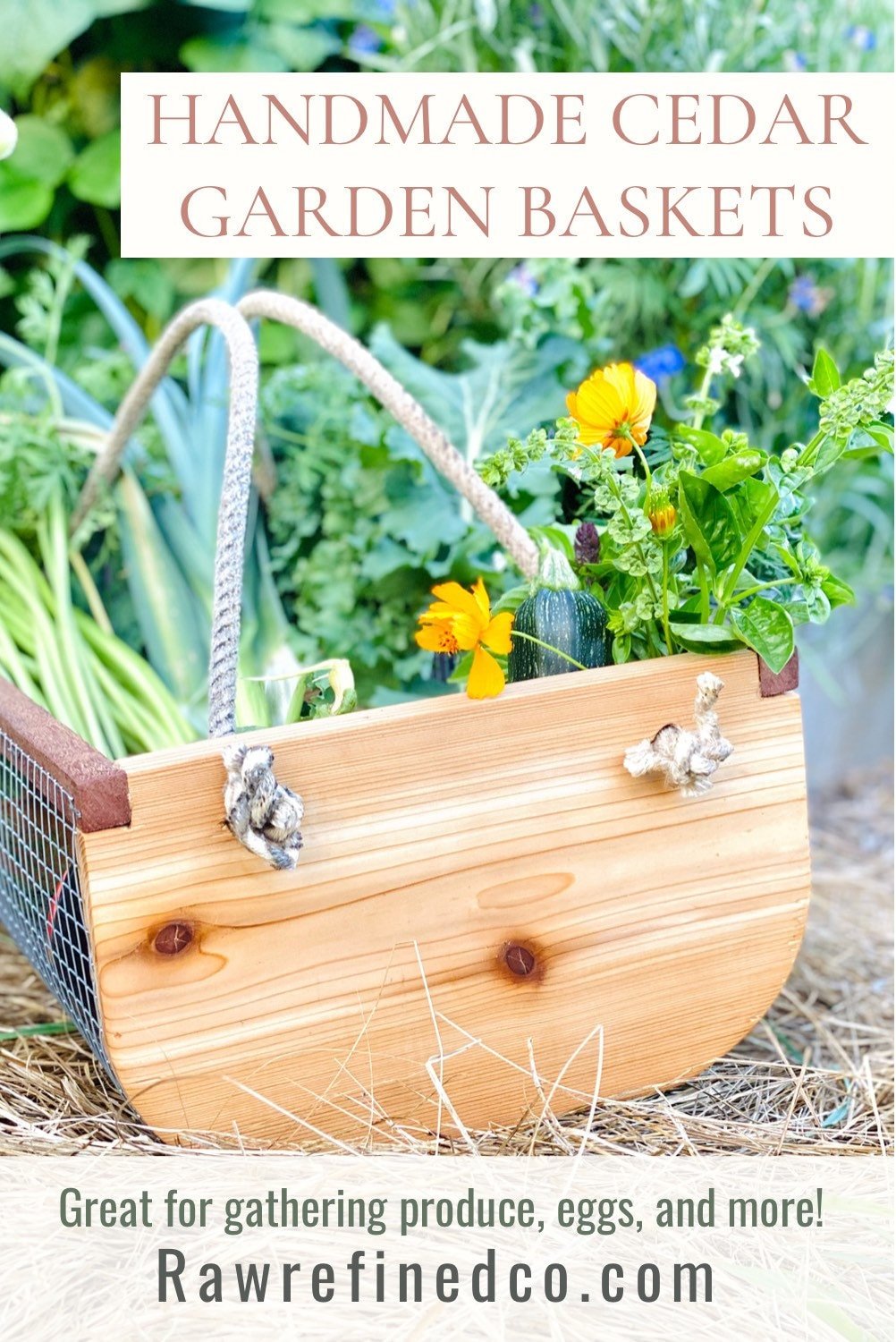 https://i.etsystatic.com/10470329/r/il/d194c7/3713949039/il_fullxfull.3713949039_577b.jpg