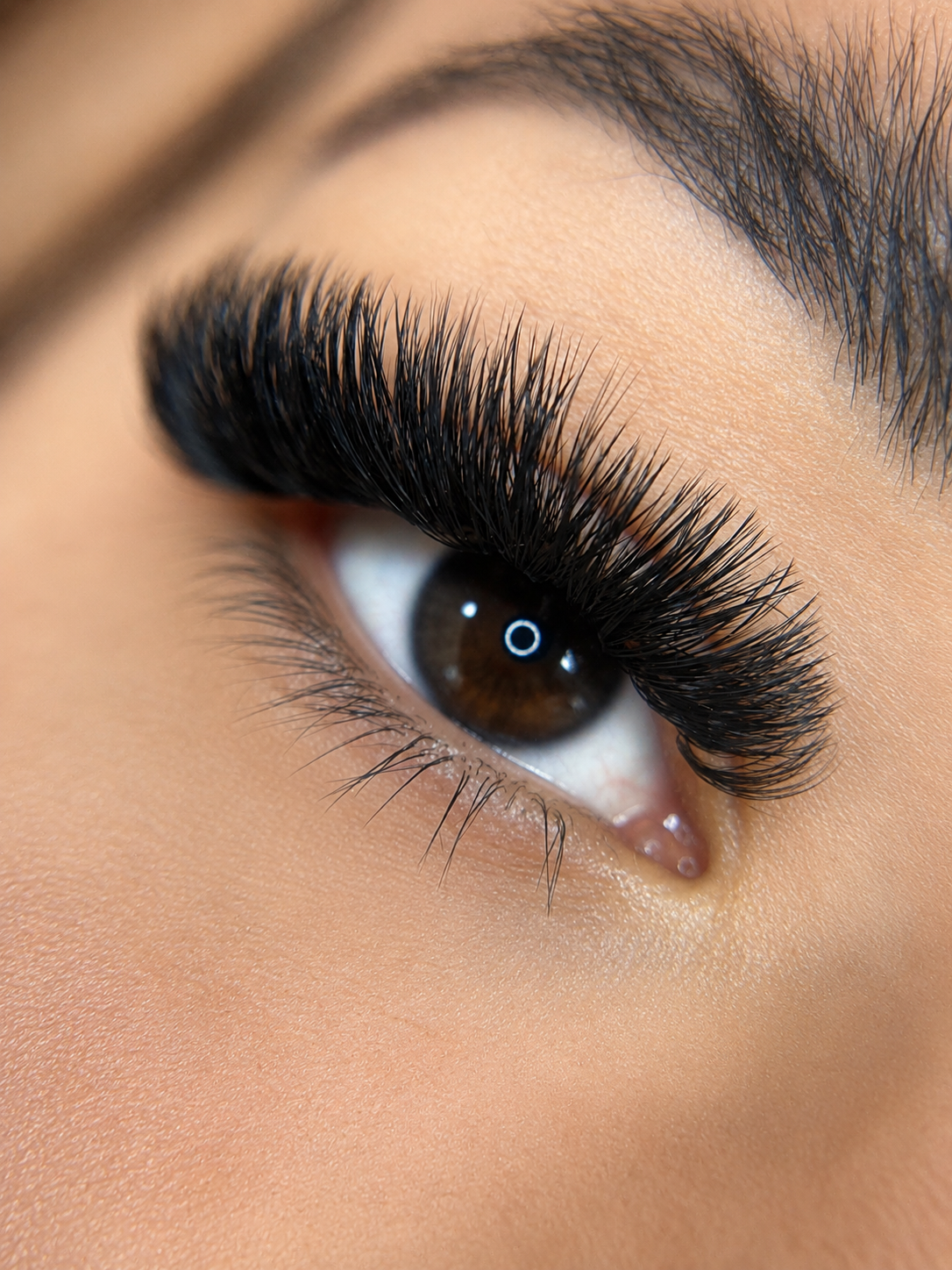 Mega volume lash extensions near Carlsbad and Vista