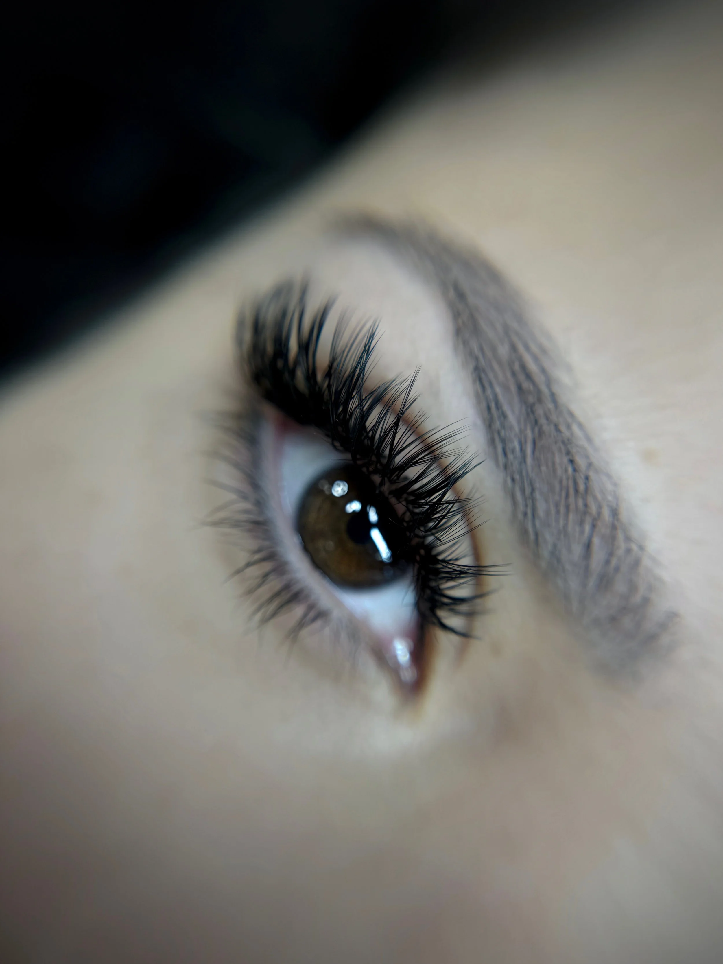 carlsbad lash extensions