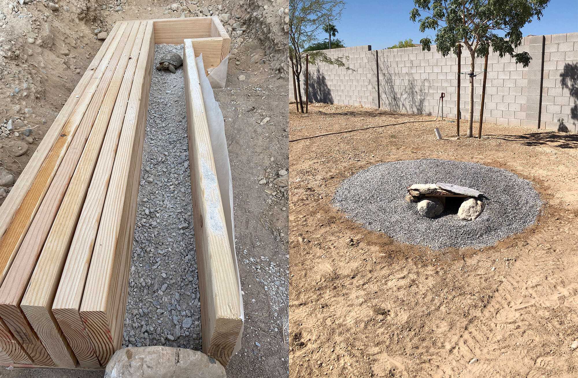 Custom tortoise habitat