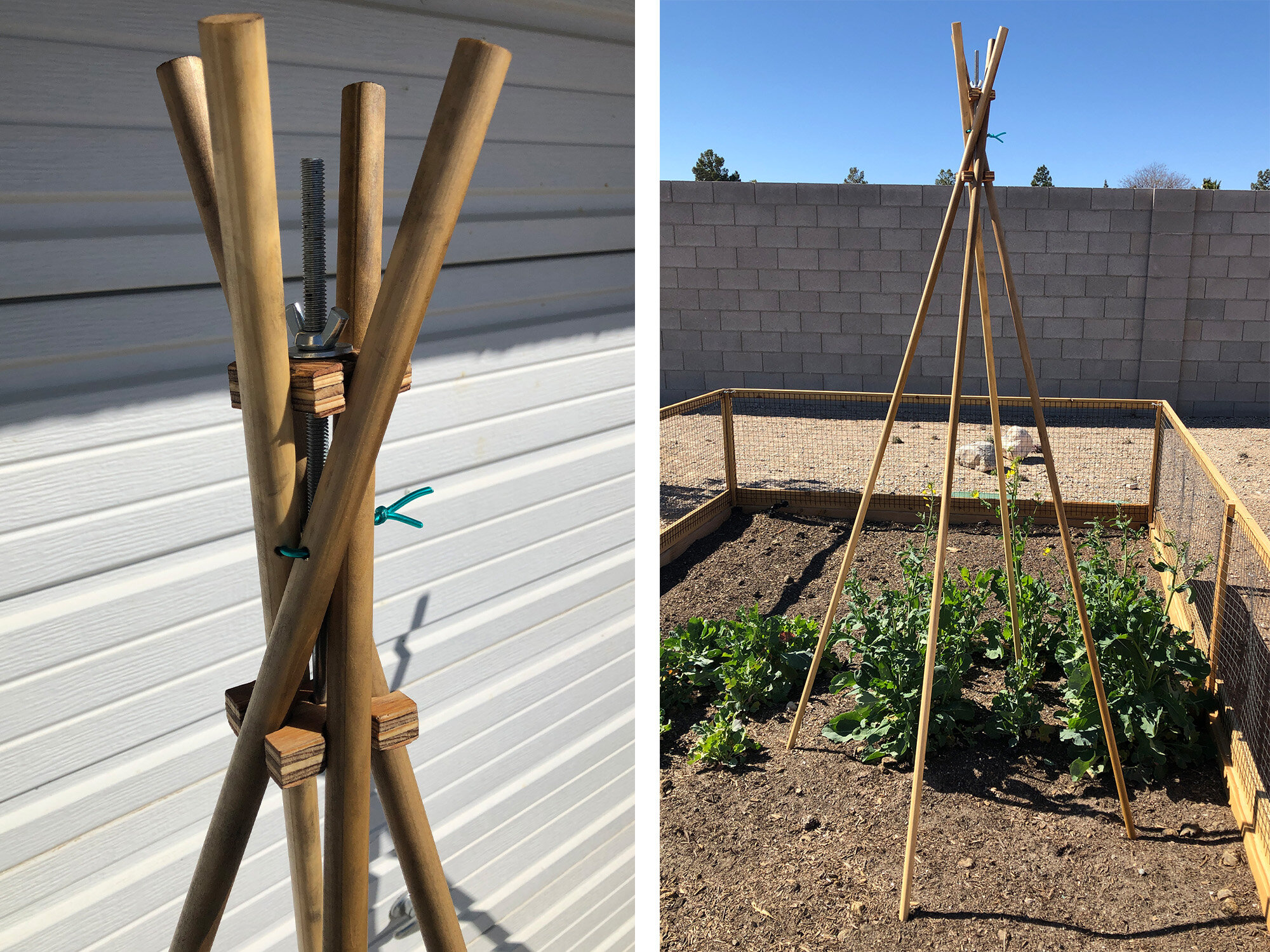 Custom Teepee Trellis for Climbing Vines