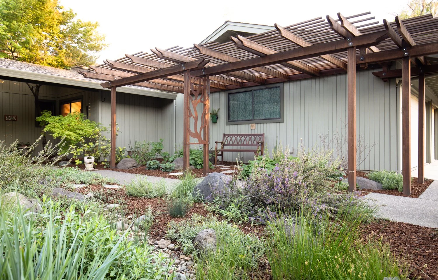 Backyard garden with wooden pergola, pathway, and various plants and shrubs.