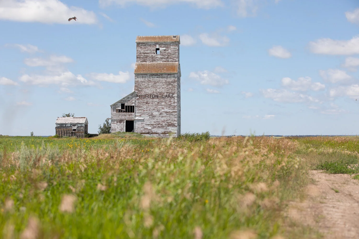 An old, abandoned grain elevator with the words "Burton Lake" written on it, situated in a grassy field with a dirt path on the right, under a partly cloudy sky, with a bird flying overhead.