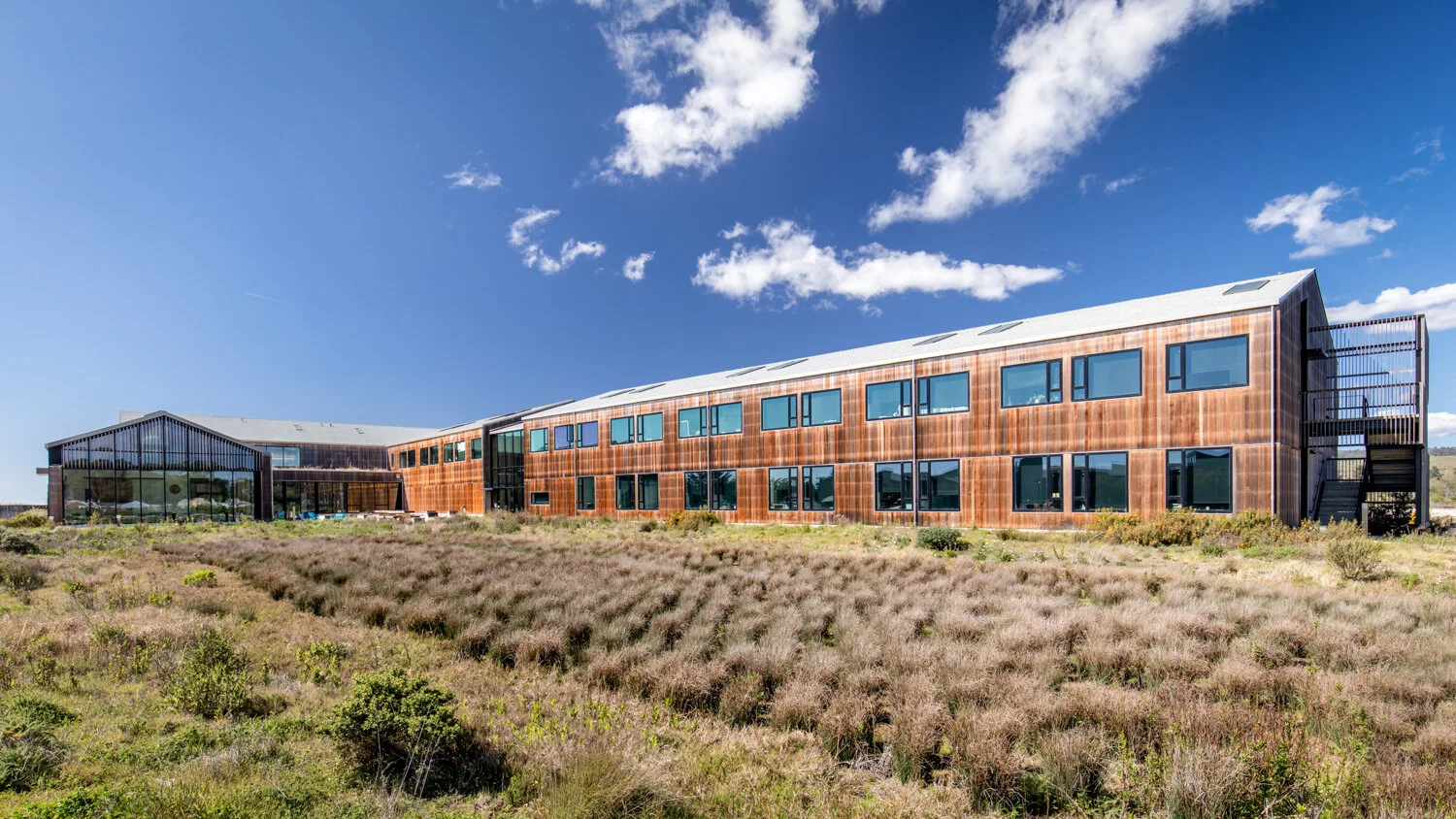 UC Santa Cruz Coastal Science Building. Modern building with brown exterior and large windows, set against a bright blue sky with scattered clouds, surrounded by a field of native grasses and plants.