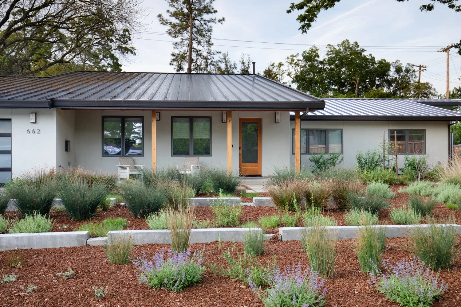 Front view of a modern single-story house with a garden filled with ornamental grasses and shrubs, metal roof, and a wooden front door.