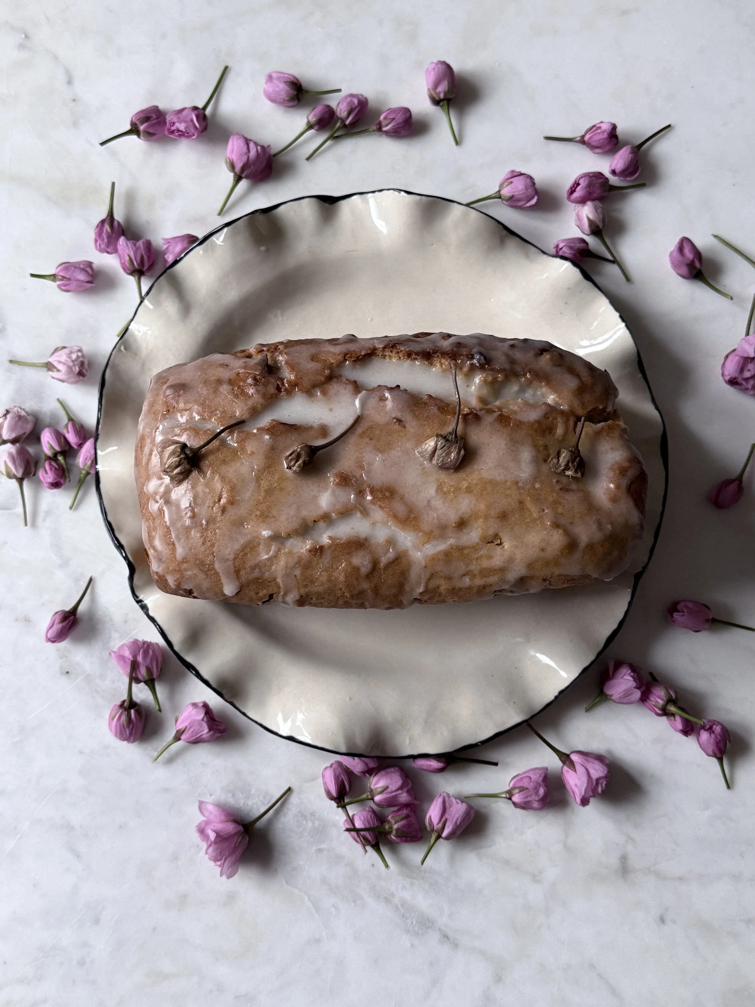 0900A1B9-1EF0-4C37-8C67-967A46D69ADF.jpeg (Copy)