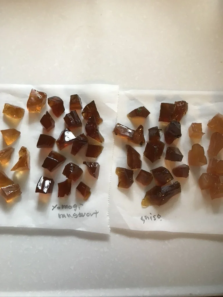 Snack Box Subscription — Test Launch (BC Only)