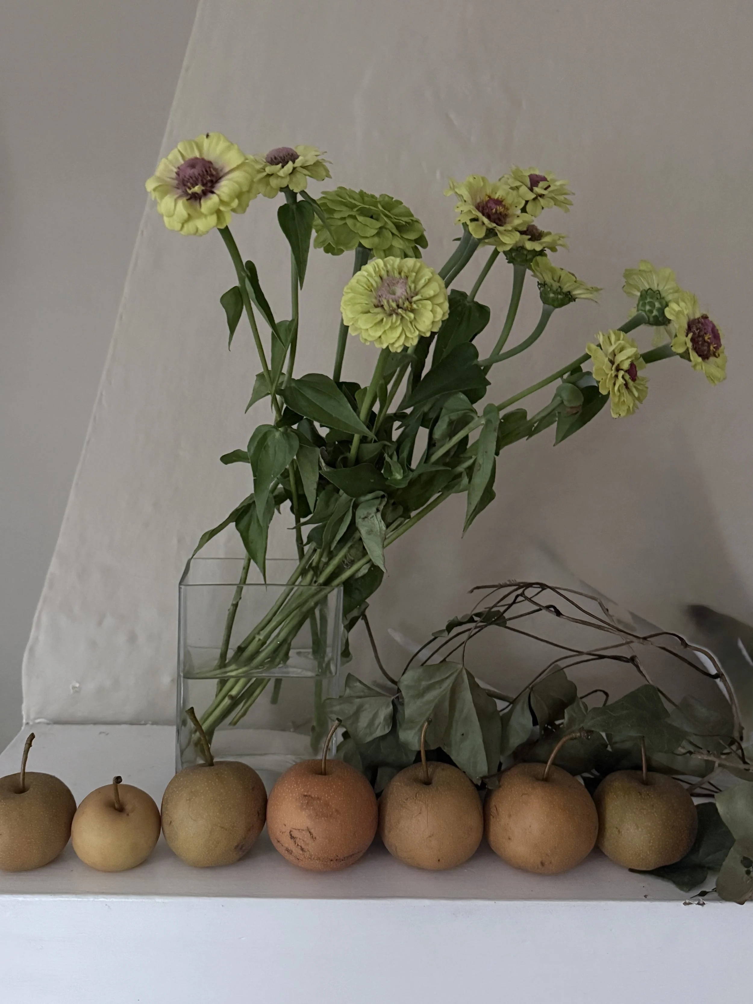 IMG_8853.jpeg