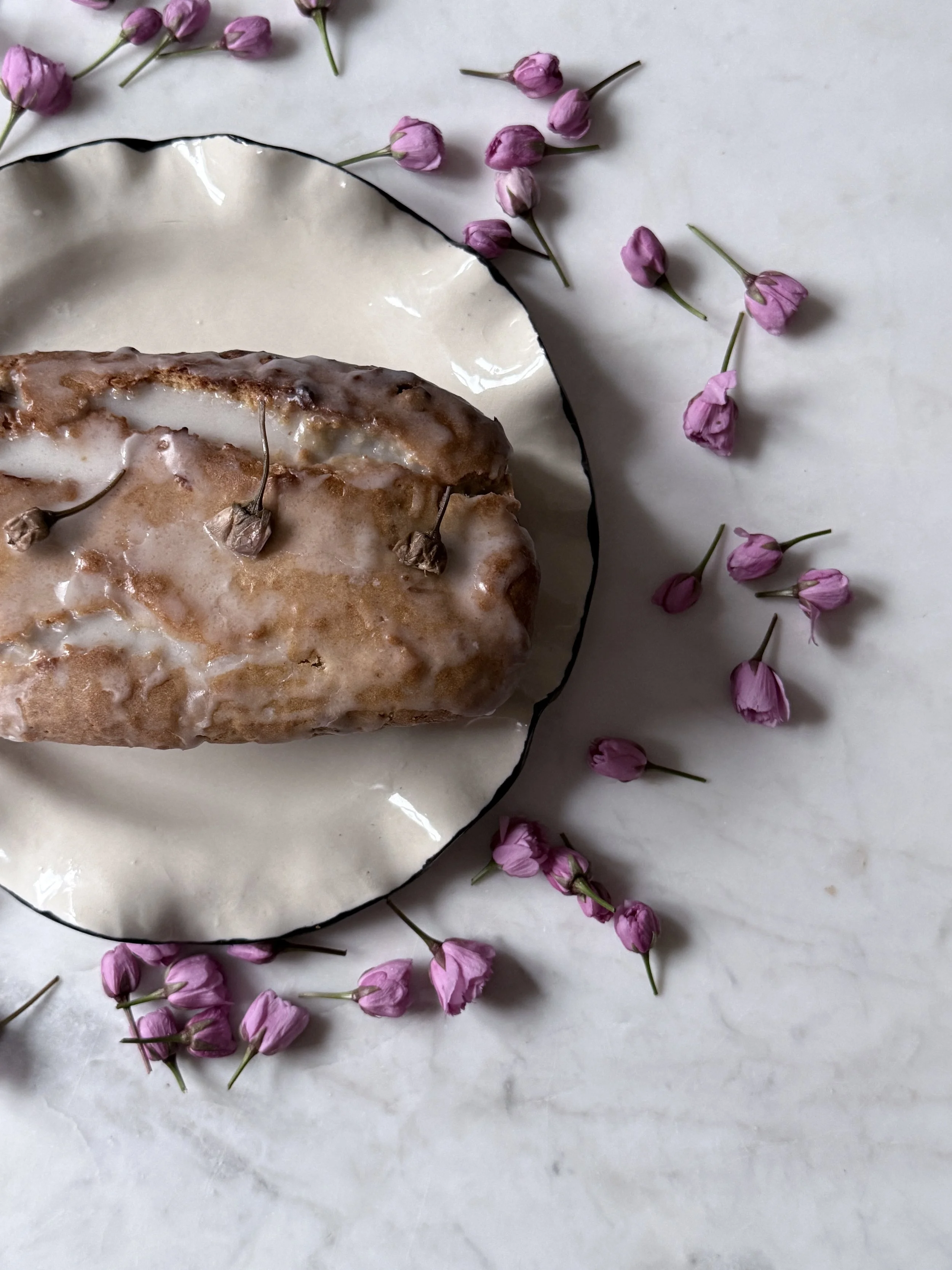 71949CF0-46BC-4655-8E19-91737218F383.jpeg (Copy)