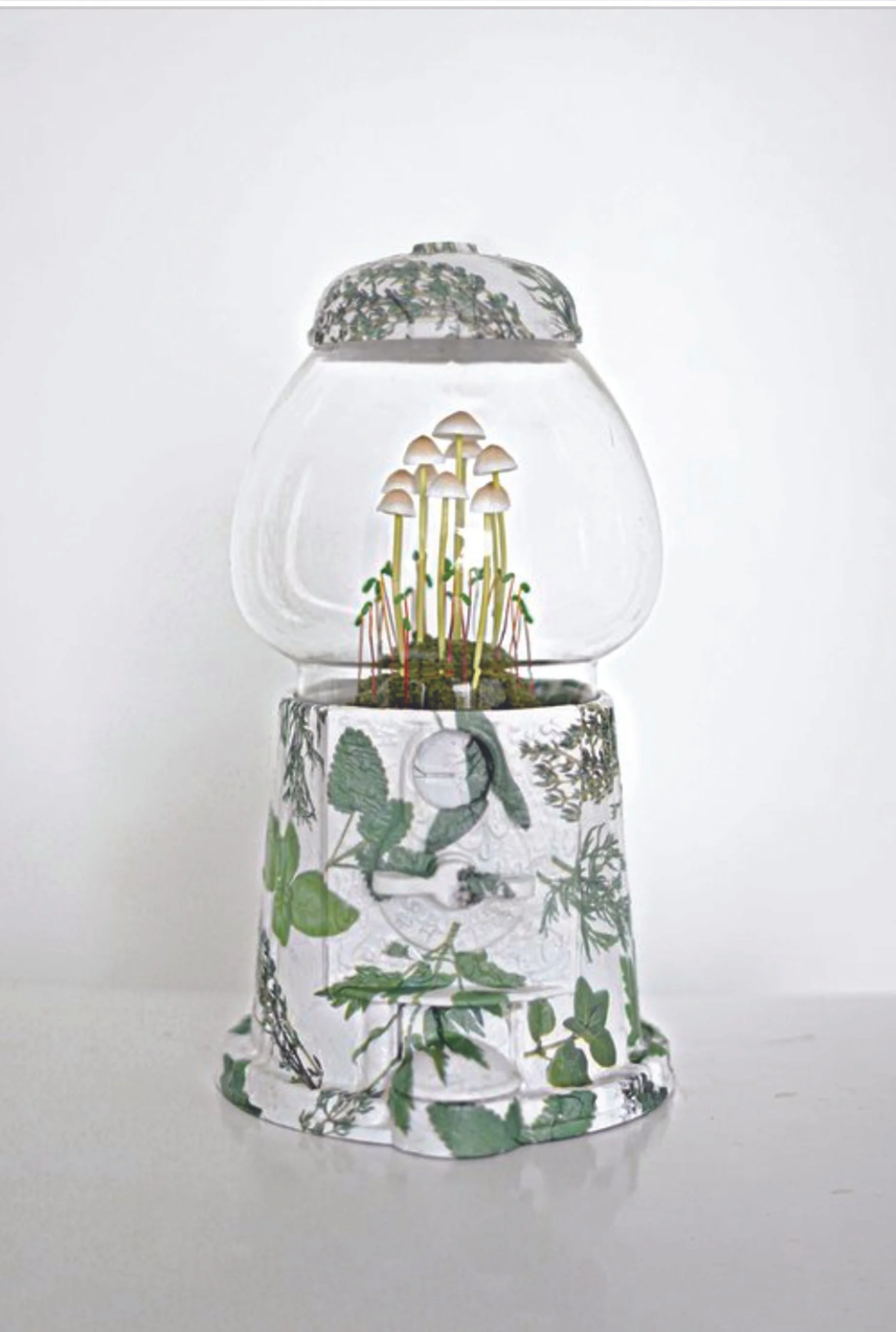 Glass container with a clear dome top, filled with small white mushrooms growing from moss inside, decorated with green leaves and plant patterns.