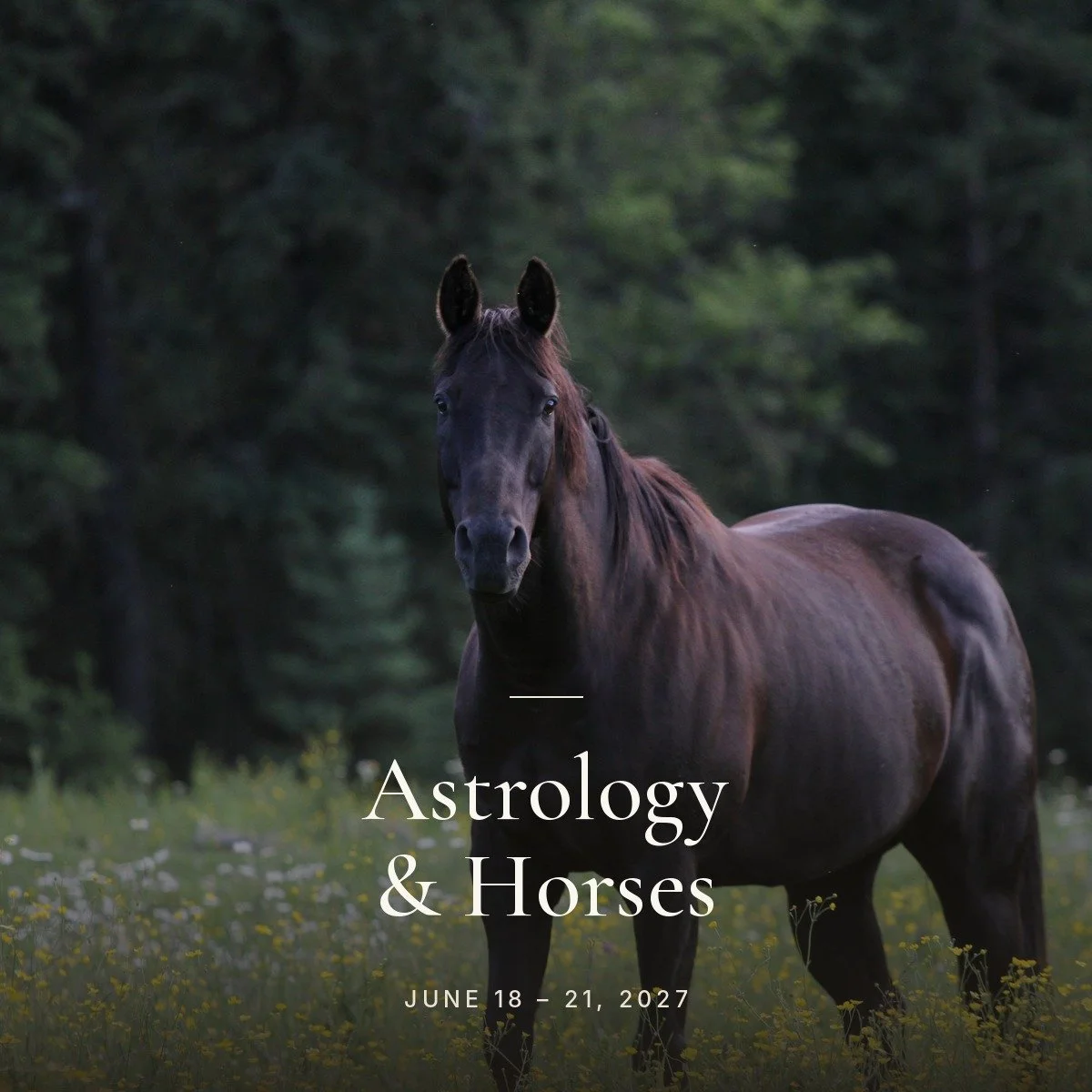 05 Astrology and Horses.jpg