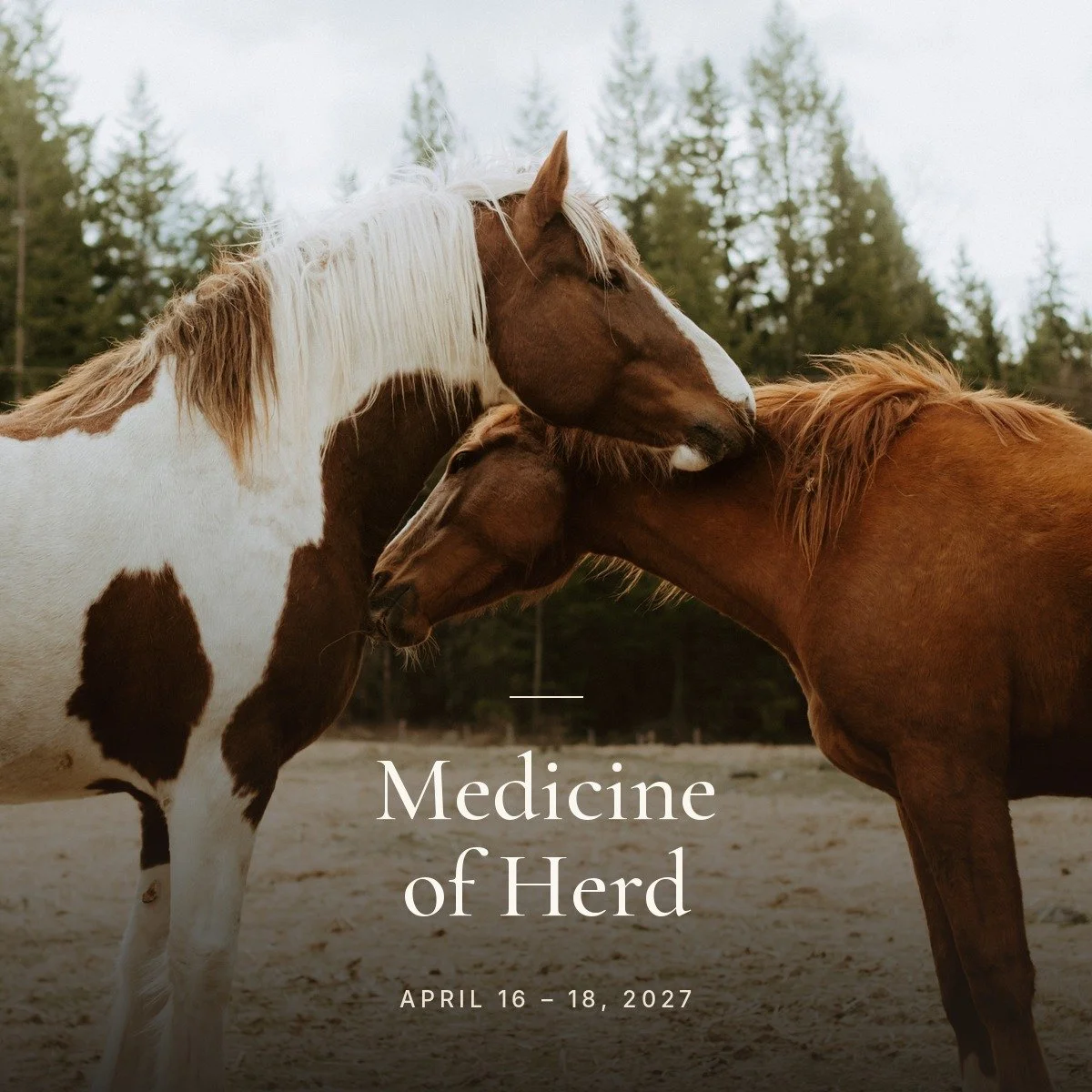 01 Medicine of Herd.jpg