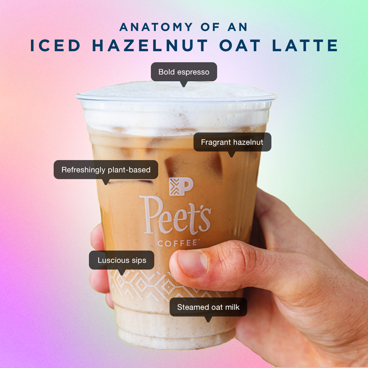 1x1_Peets_Anatomy_NC_v05.png