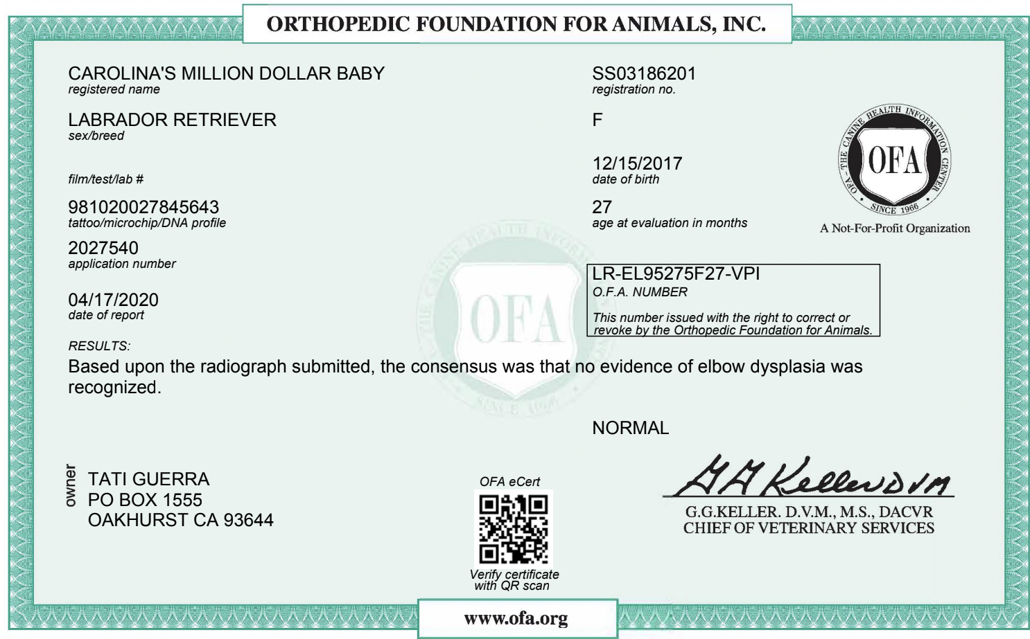 Screen Shot 2022-01-12 at 9.37.48 AM.png