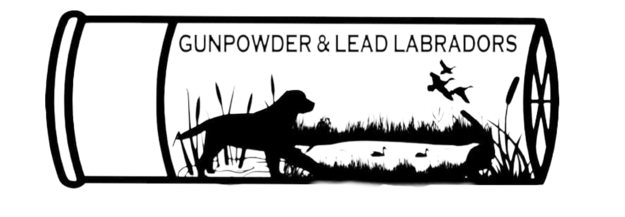 Gunpowder &amp; Lead Labradors 