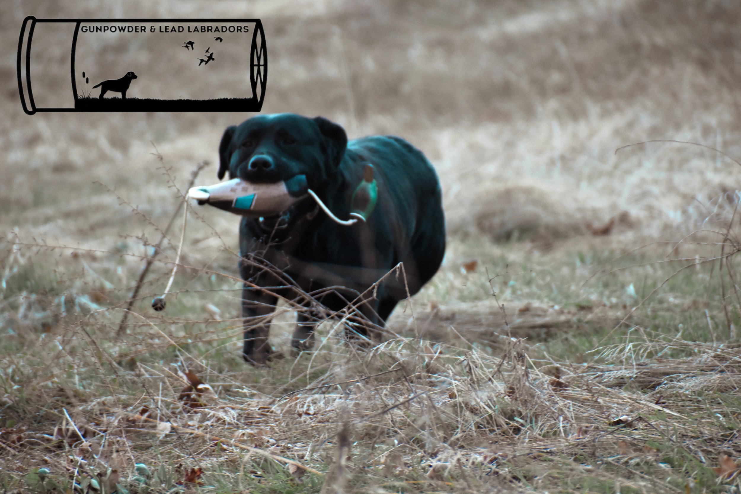 7612687F-CF5E-4E75-A1AE-C7525991D66E.jpeg