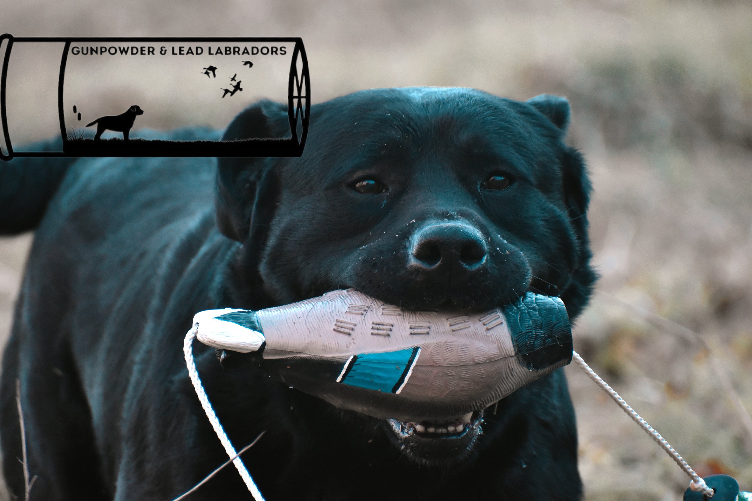 C477F12A-D76A-4448-B372-5DB4F5C40223.jpeg