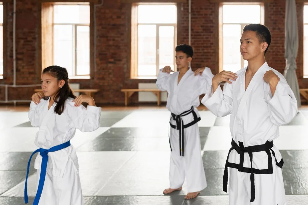 What Makes Taekwondo Classes Different From Casual Fitness