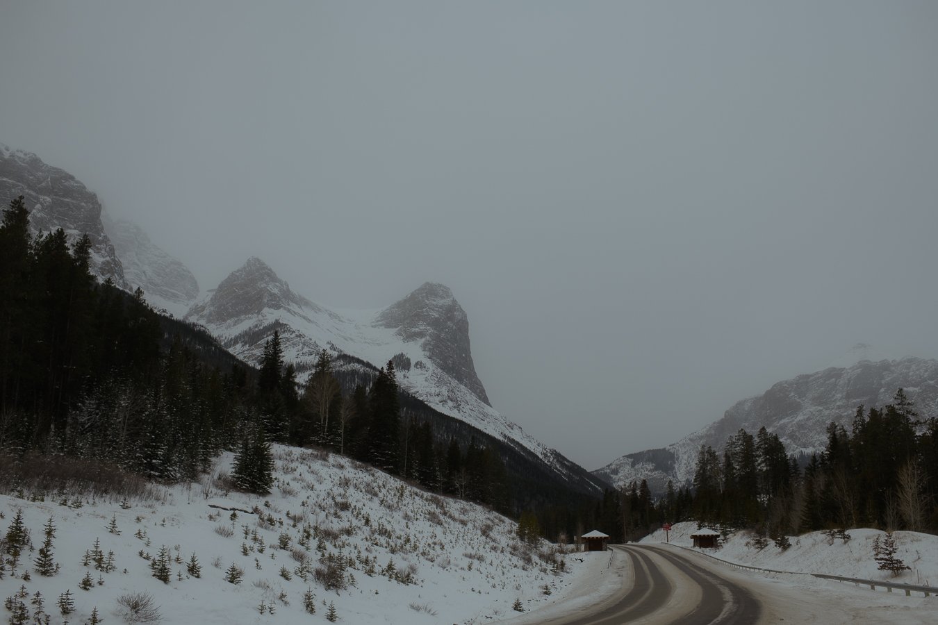 Banff-Wedding-Photographers-1.jpg