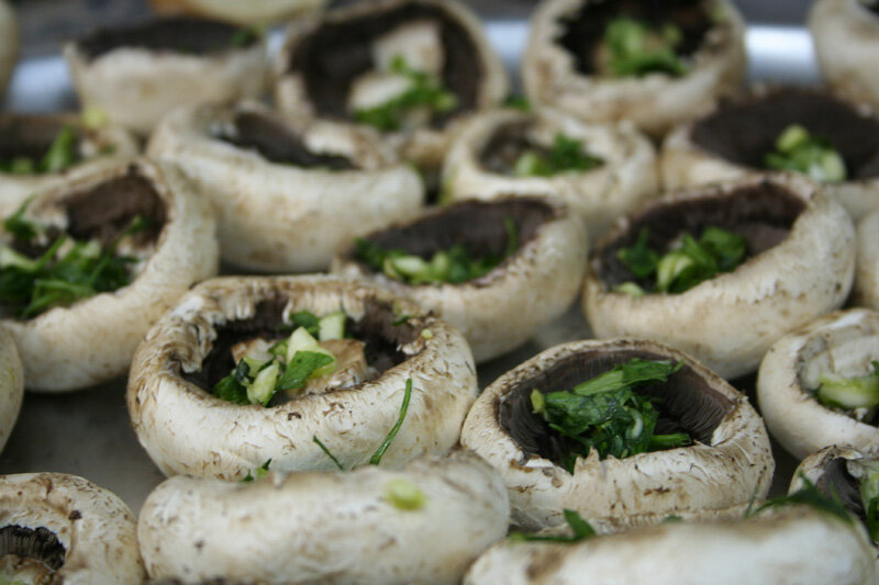 mushrooms.jpg