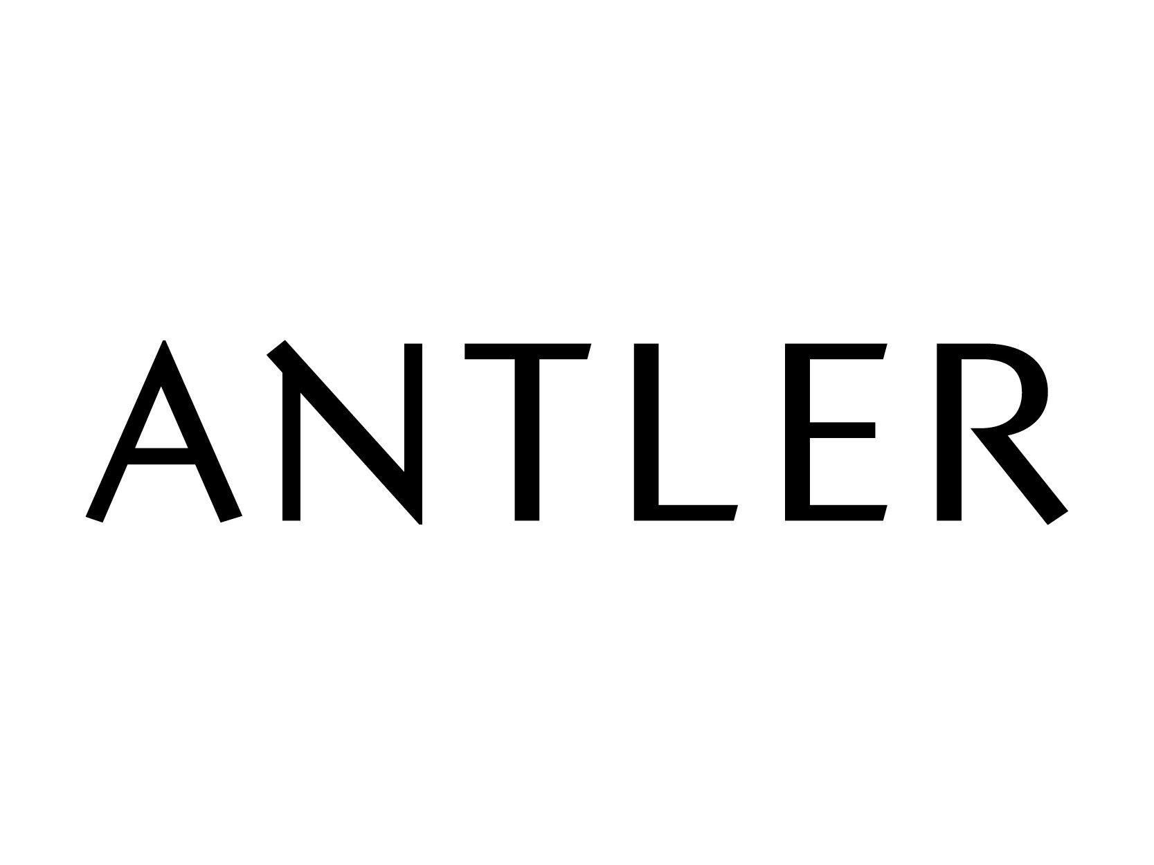 antlerluggage.jpeg