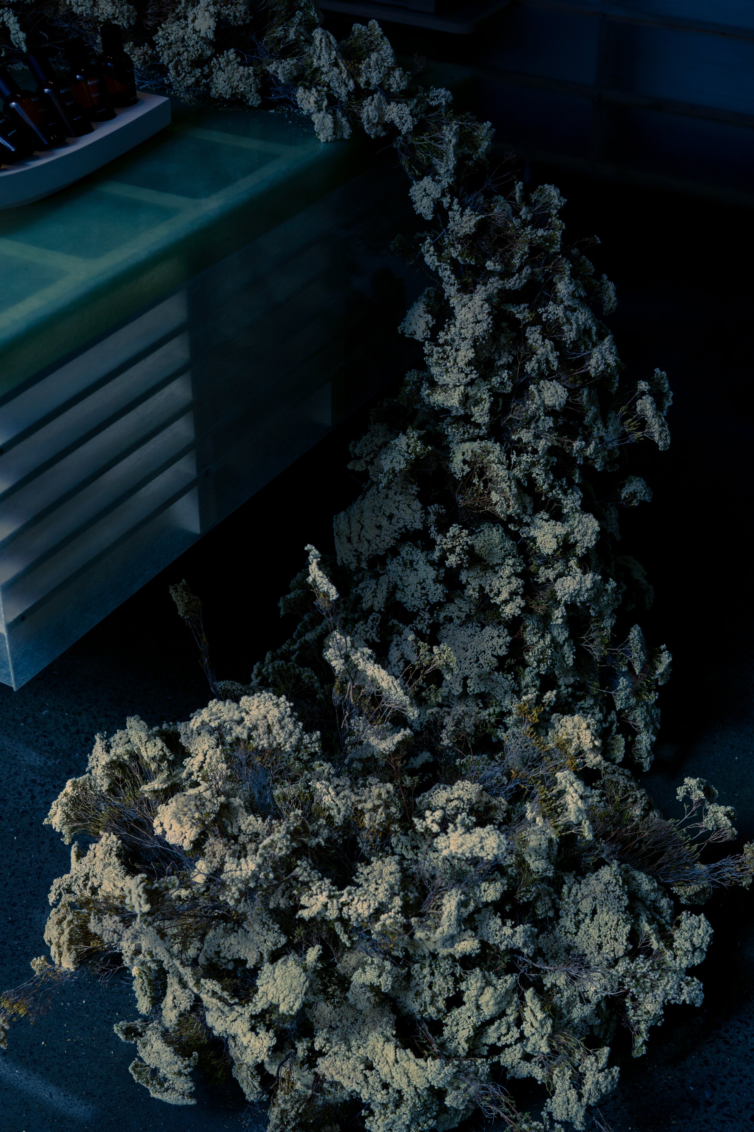 A top-down view of a bakery display case with a green cloth, bottles, and white flowers underneath. The image is dark with soft lighting.