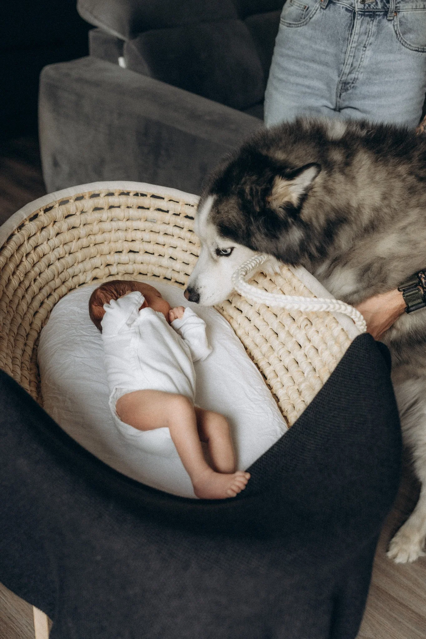 Novorozenecké focení v dětském pokoji s pejskem u postýlky
